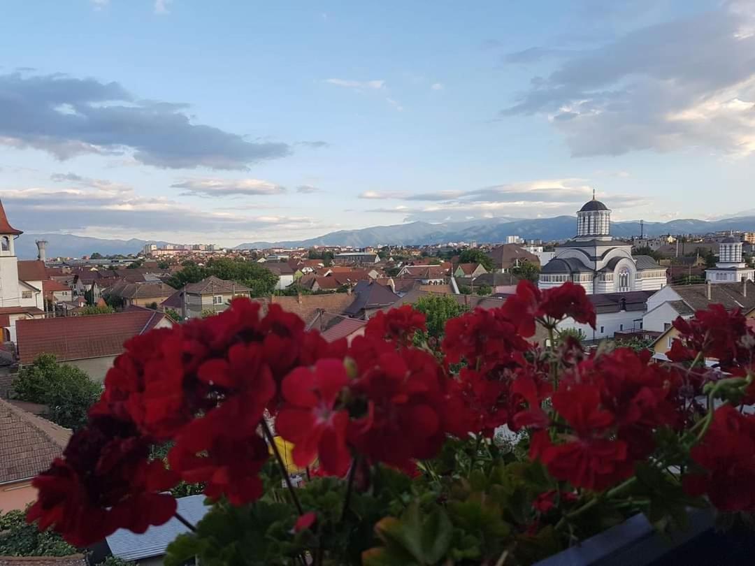 Sibiu Bach Penthouse Exterior foto